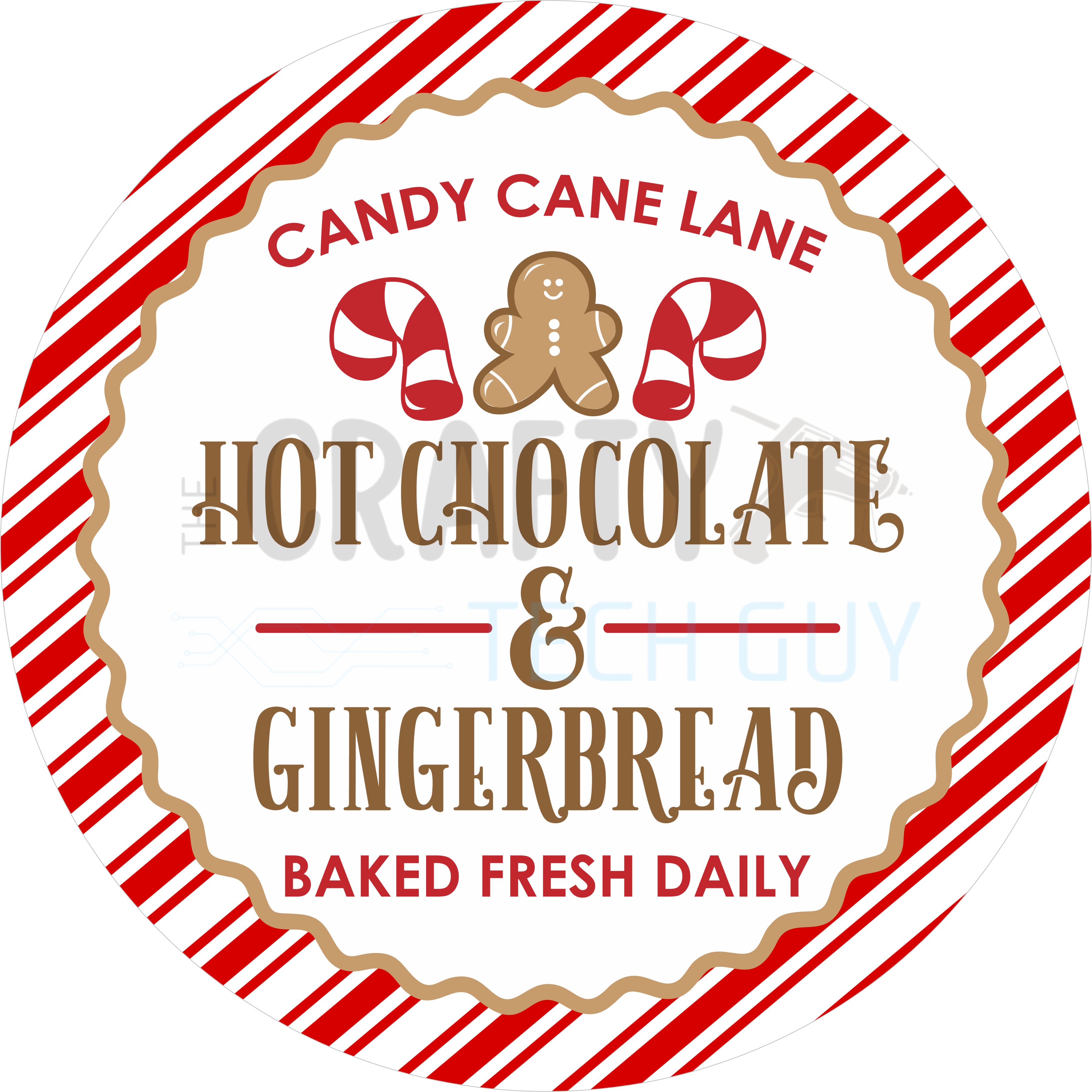Candy Cane Lane Hot Chocolate and Gingerbread Design with Peppermints and Holiday Bakery Style