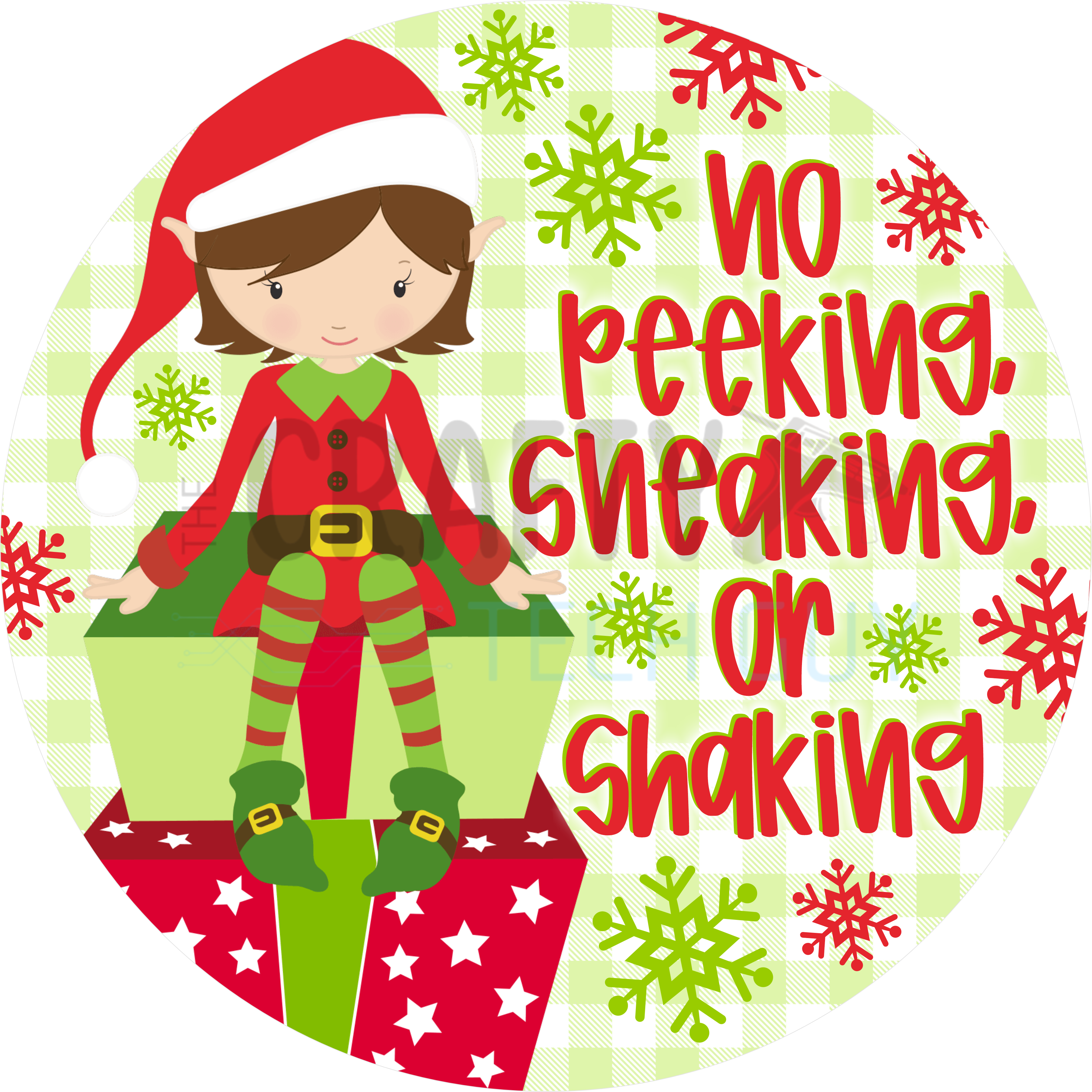 Cute Christmas Elf Sign with Green Gingham Background and “No Peeking, Sneaking, or Shaking” Holiday Quote