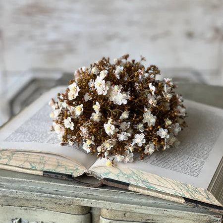 Emmeline Half Sphere Fawn, 8 Inch Floral Half Ball, Neutral Mini Flower Arrangement, Farmhouse Tabletop Decor