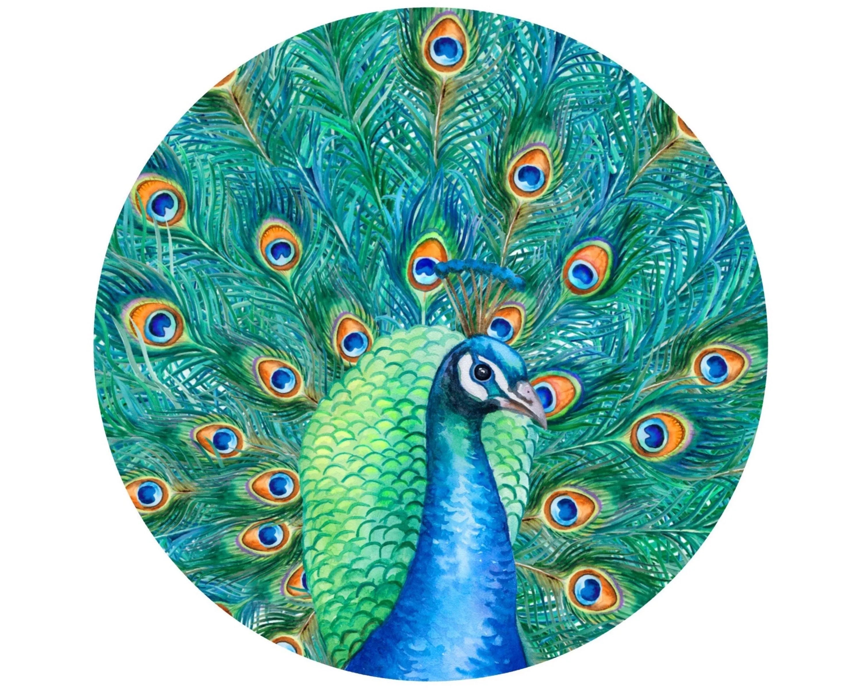 Letrero de corona de pavo real, letrero de puerta de entrada de pavo real, accesorio de corona de pavo real, fiesta de pavo real, arte de pared de pavo real, letrero de corona para todos los días, pavo real