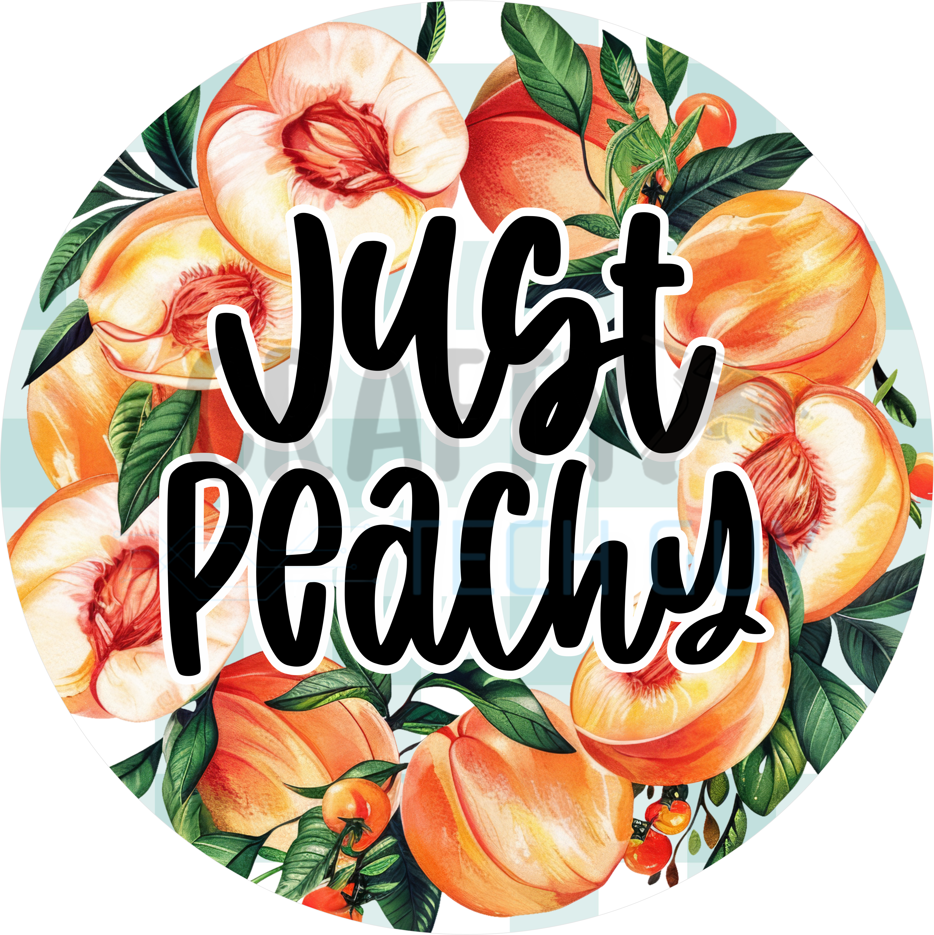Just Peachy Southern Peach Floral Round Wreath Sign