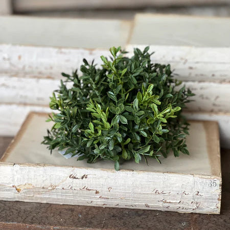 Green bush on an old book with a wooden background