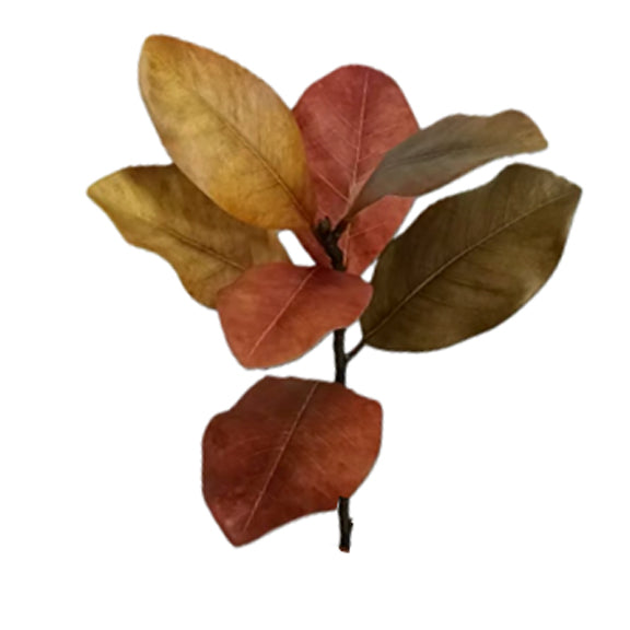 24 Inch Fall Magnolia Leaf Spray with Rust Gold and Olive Autumn Leaves