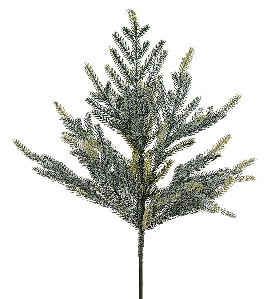 19.5 Inch Frosted Norfolk Pine Bush Artificial Winter Greenery Spray in Dusty Sage Green with White Snow Frost and Antique Gold Tips