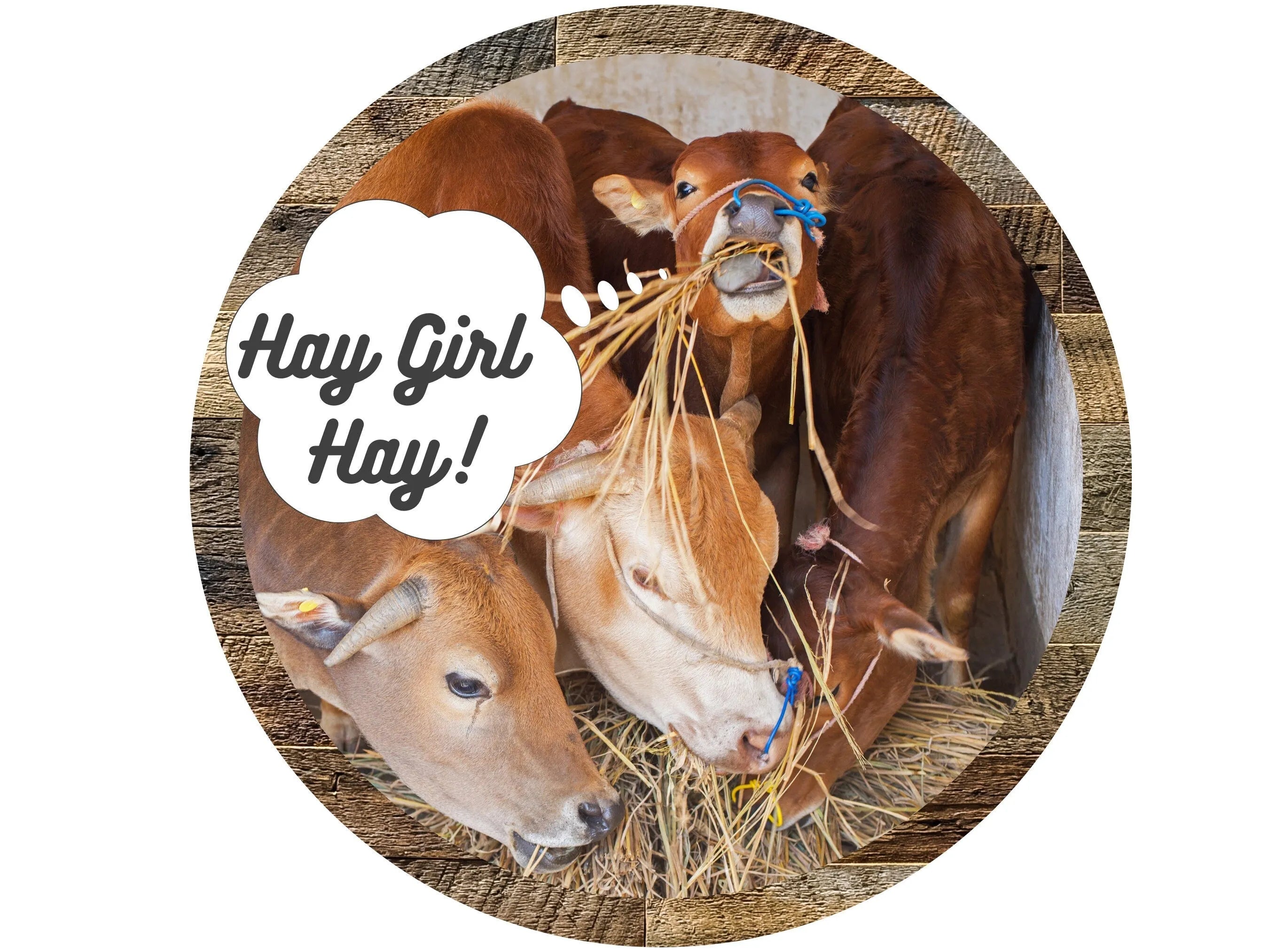 hay girl hay cow sign, cows eating straw farmhouse sign, life on the farm wreath sign, cow sign