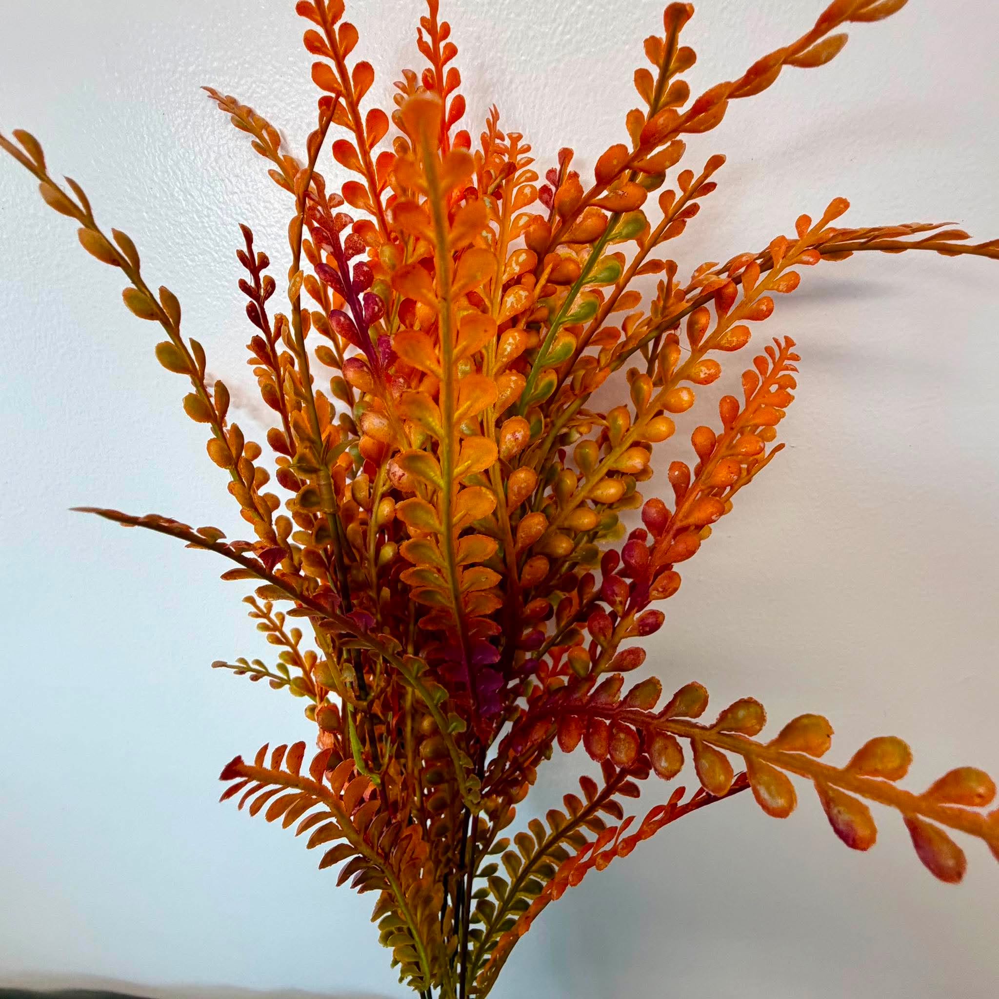 Close Up of Orange Rust and Olive Ombre Fern Fronds on Fall Wreath Bush